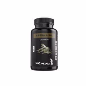Quebeck barna alga 100g